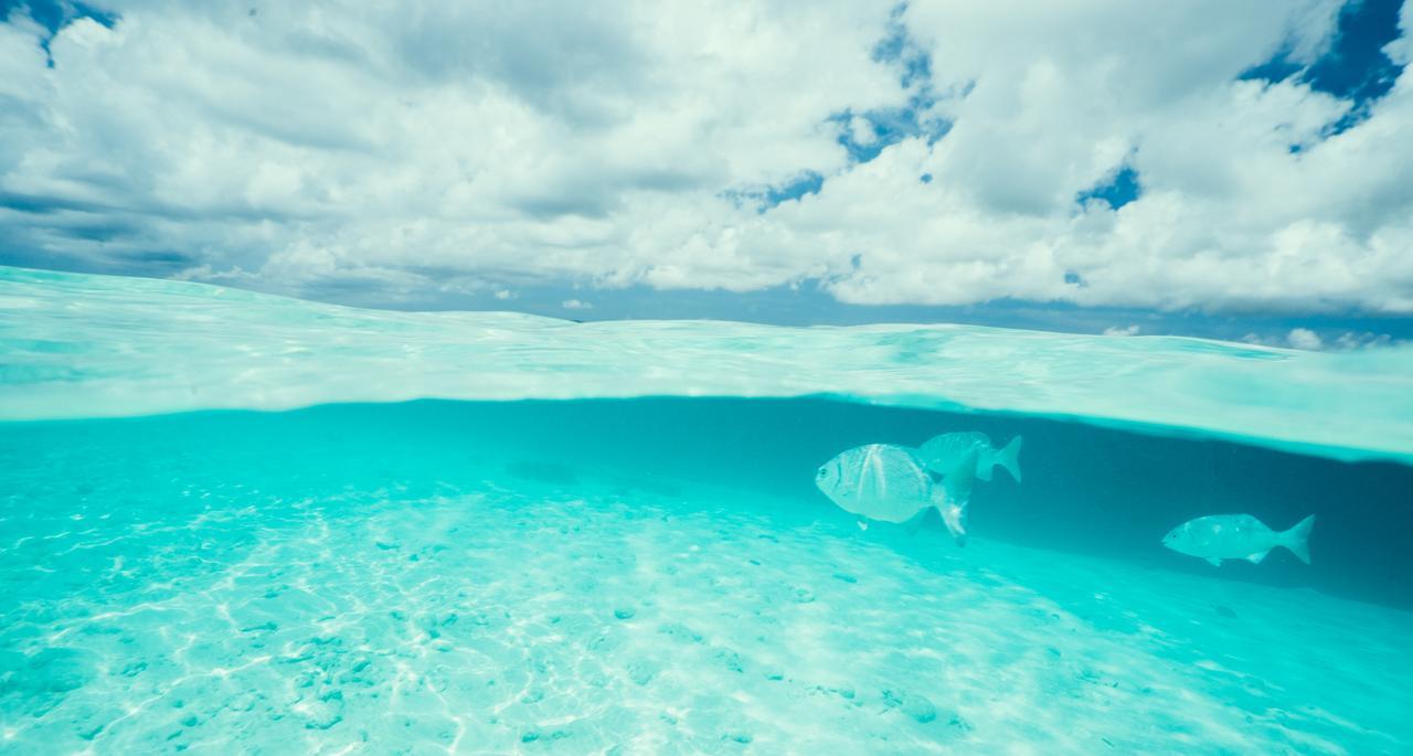 Sorobon Boutique Hotel Bonaire Ngoại thất bức ảnh