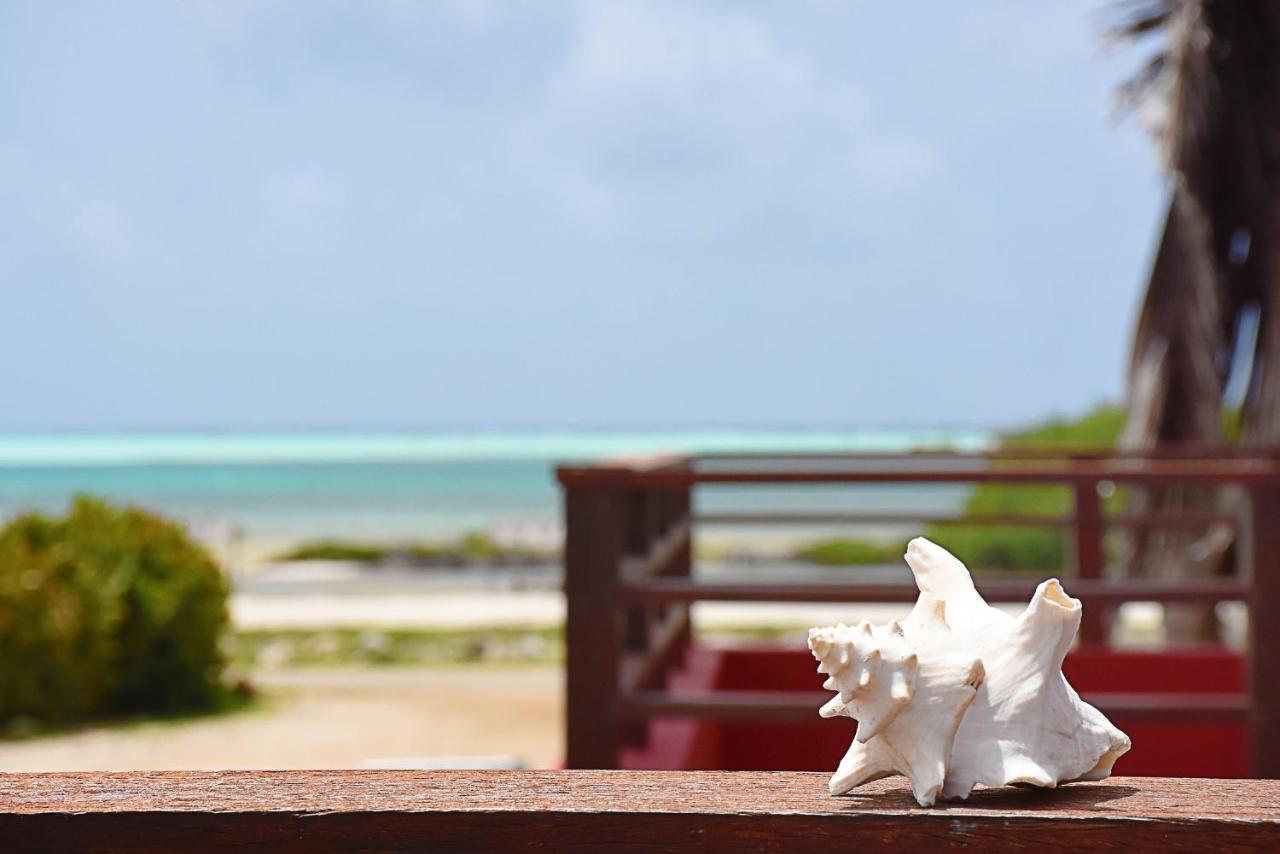 Sorobon Boutique Hotel Bonaire Ngoại thất bức ảnh